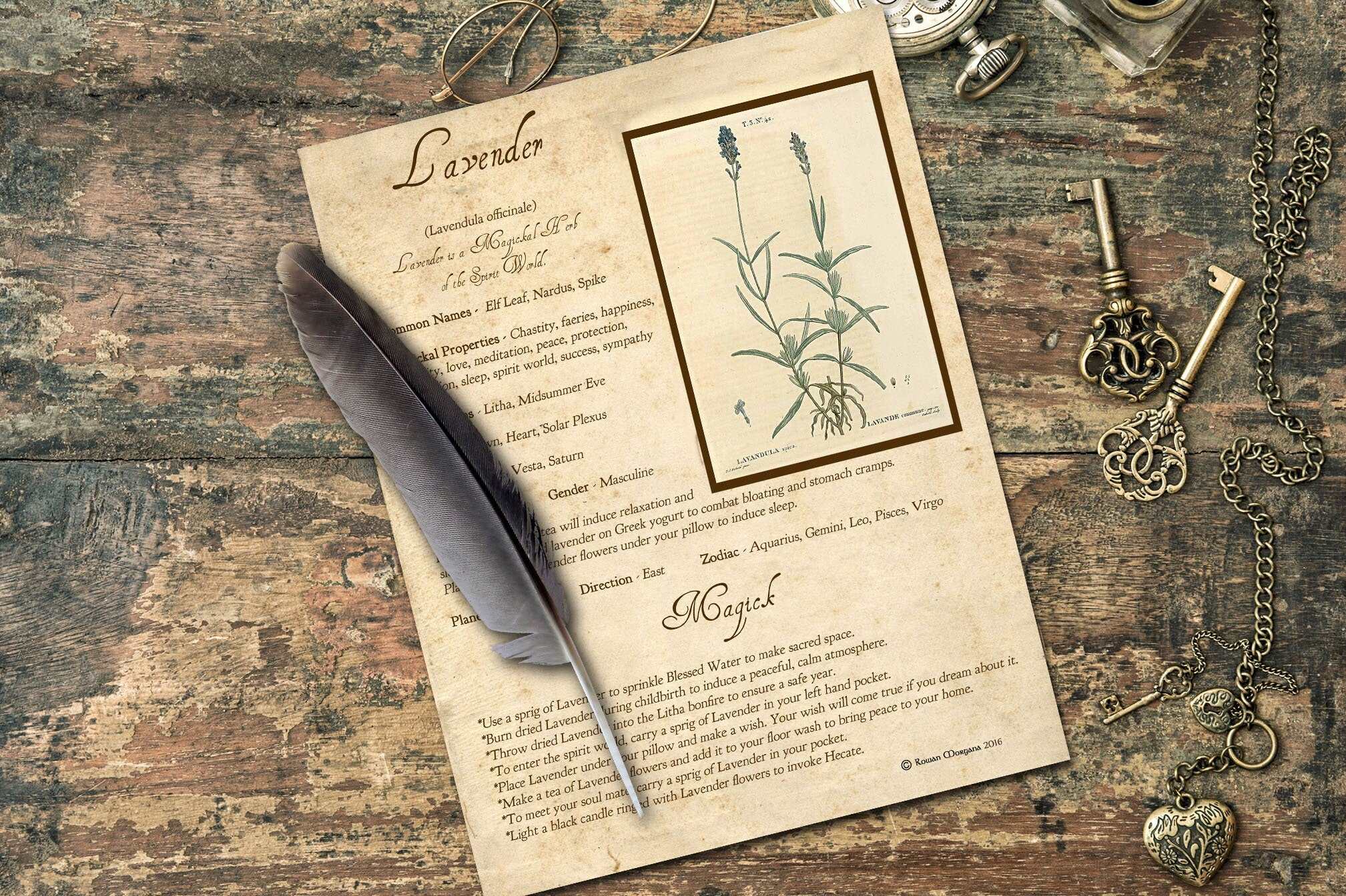 LAVENDER the WITCH'S HERBE Printable Page - Morgana Magick Spell