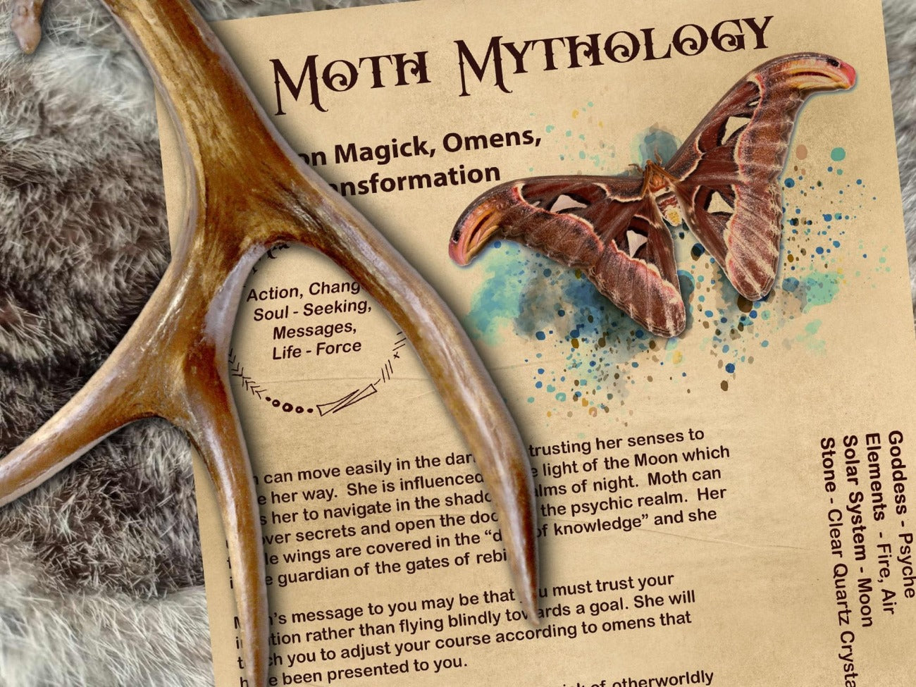 MOTH MAGICK Printable 1 Page - Morgana Magick Spell