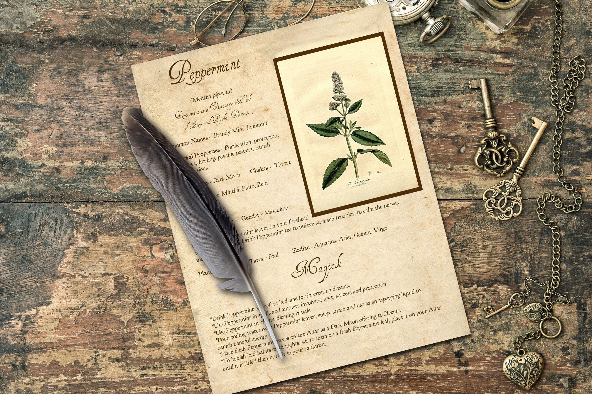 PEPPERMINT the WITCH'S HERB Printable Page - Morgana Magick Spell