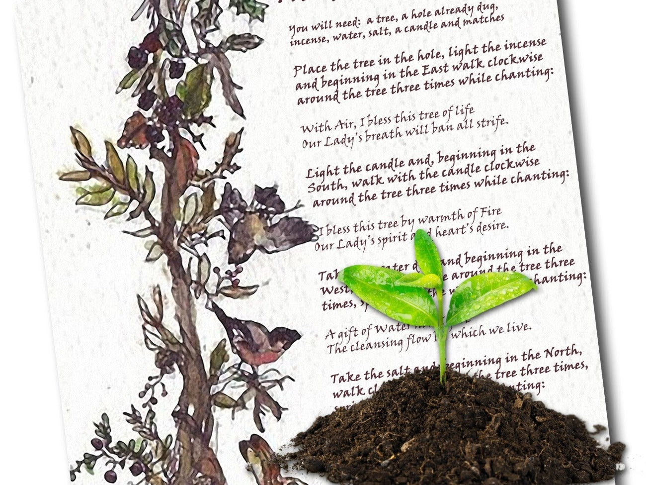 TREE PLANTING RITUAL, Green Witch, Plant Blessing Spell, Earth Day, Planting Magick Ritual, Wicca Tree Ritual, Herbal Witchcraft, Printable - Morgana Magick Spell
